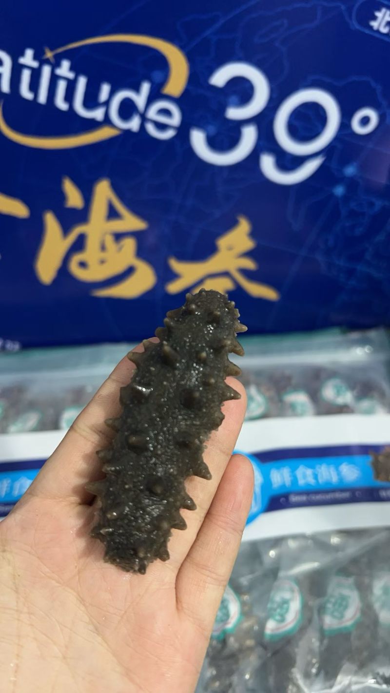 威海本地即食海参。大头6-8只要88一斤