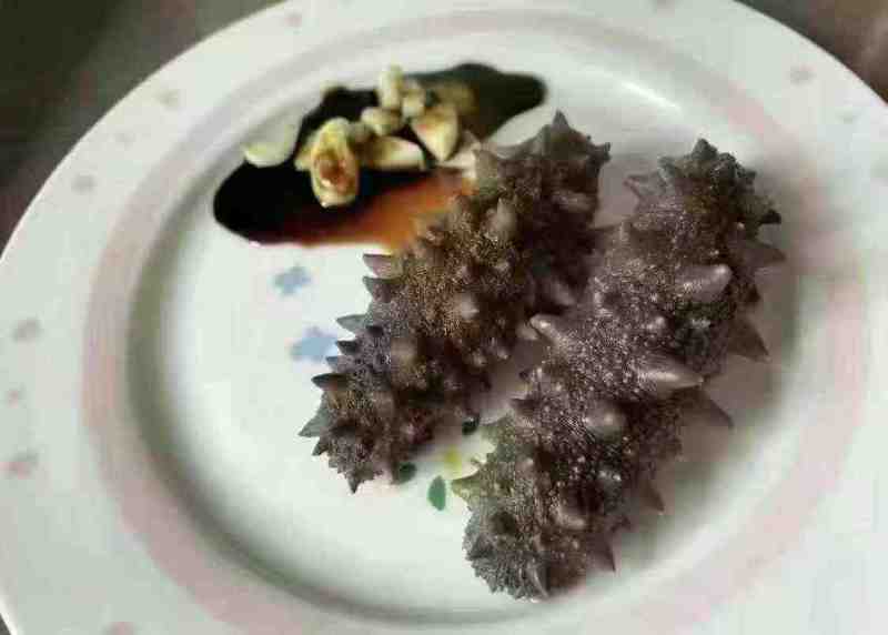 威海本地即食海参。大头6-8只要88一斤