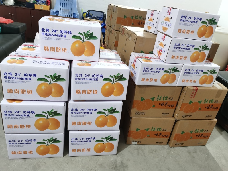 江西赣南脐橙