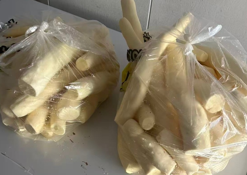 华南9号黄肉木薯