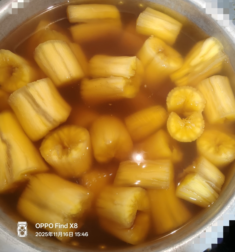 华南9号黄肉木薯