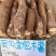 华南9号黄肉木薯