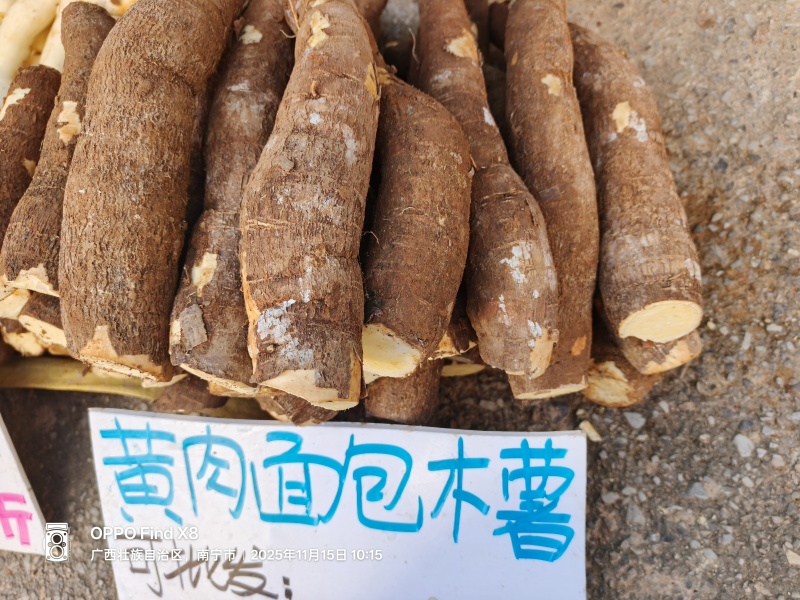 华南9号黄肉木薯