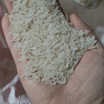 湖南精米