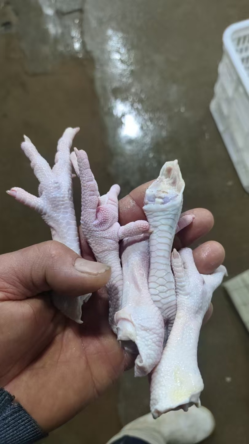 鸡爪40-60便宜出