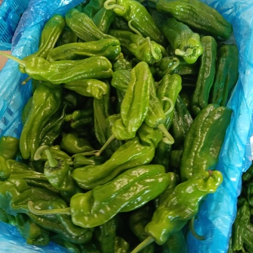 螺丝椒，芜湖椒