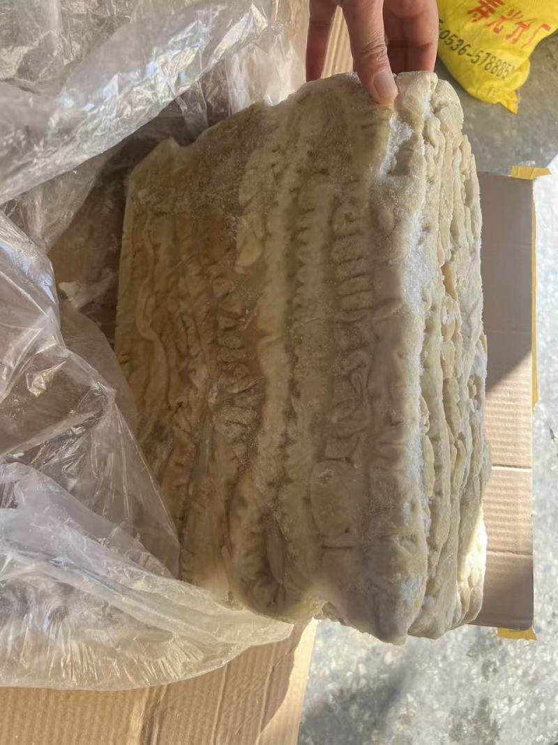 二级肥猪预煮大肠新货新开