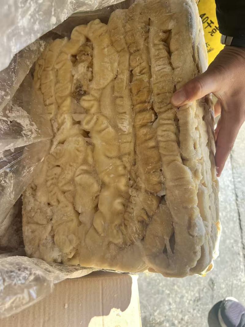 二级肥猪预煮大肠新货新开