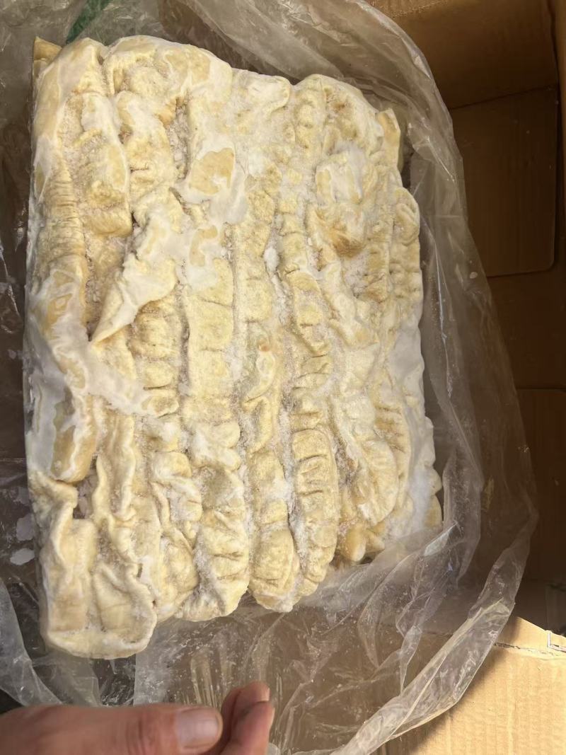 二级肥猪预煮大肠新货新开