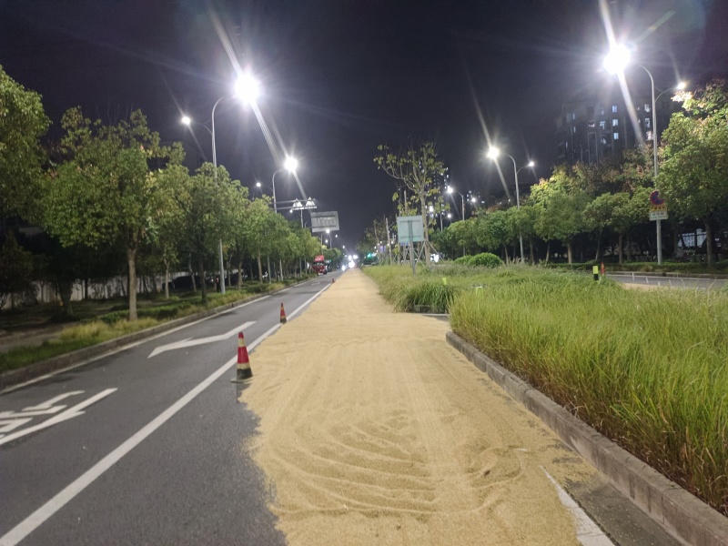 水稻南梗46