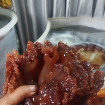 特别脆鲜的舟山海蛰