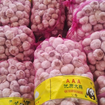 大蒜产地直发大量有货支持一件代发