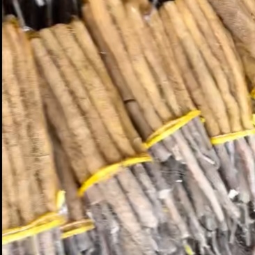 网袋白玉