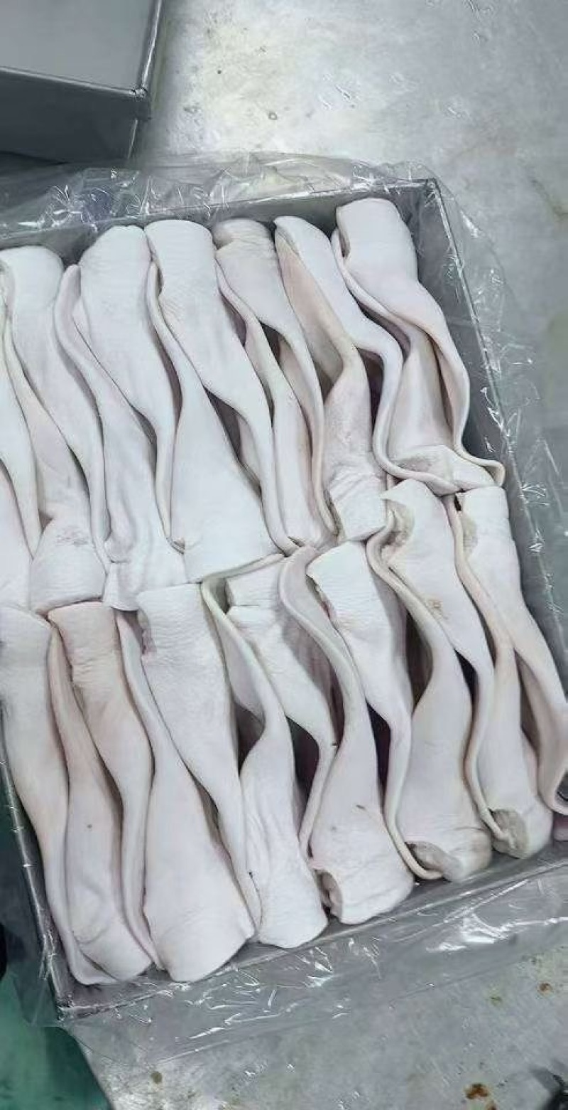 国产一级耳朵26个，40-50各种规格都有，长期供应，品质好