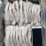 国产一级耳朵26个，40-50各种规格都有，长期供应，品质好