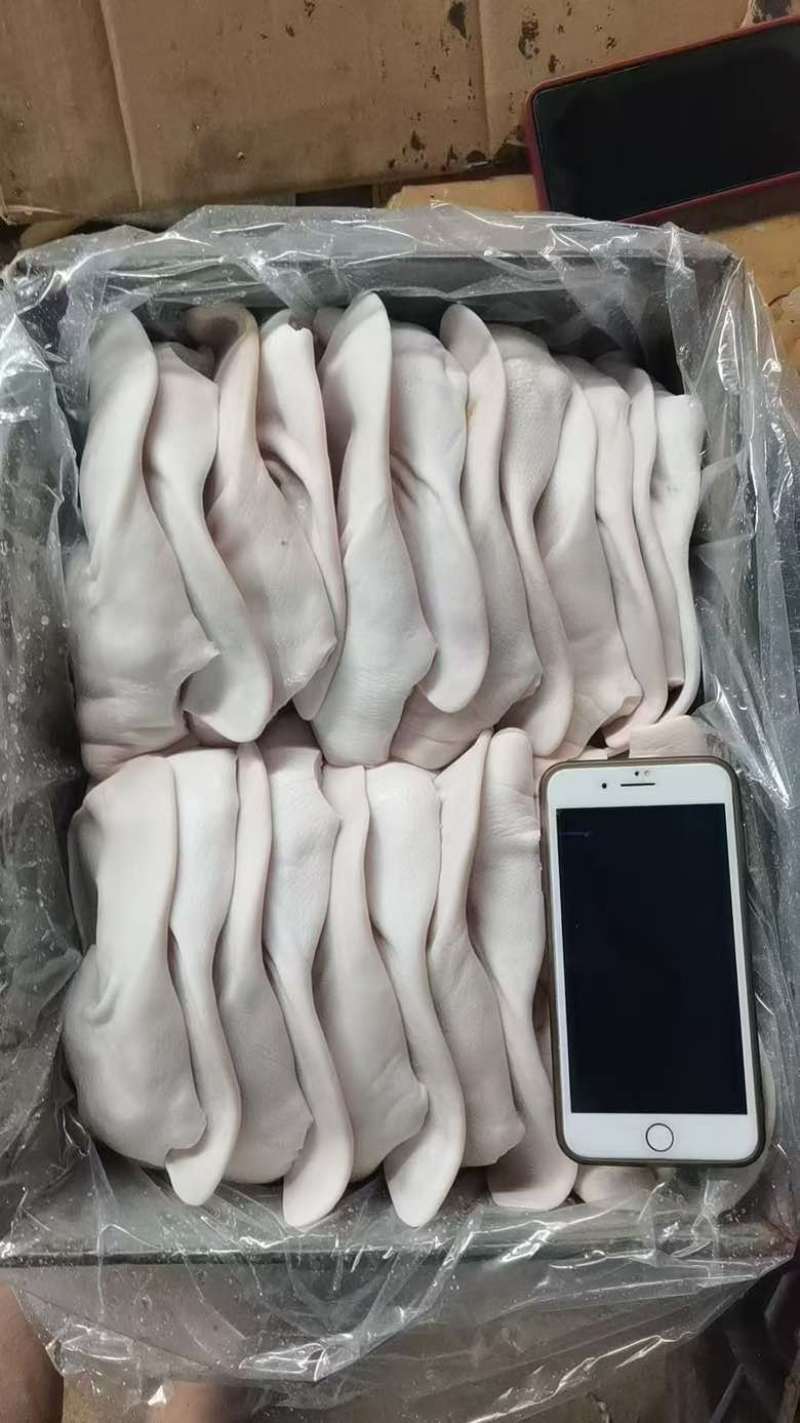 国产一级耳朵26个，40-50各种规格都有，长期供应，品质好