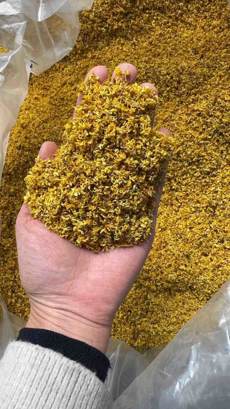 桂林精品桂花干便宜处理