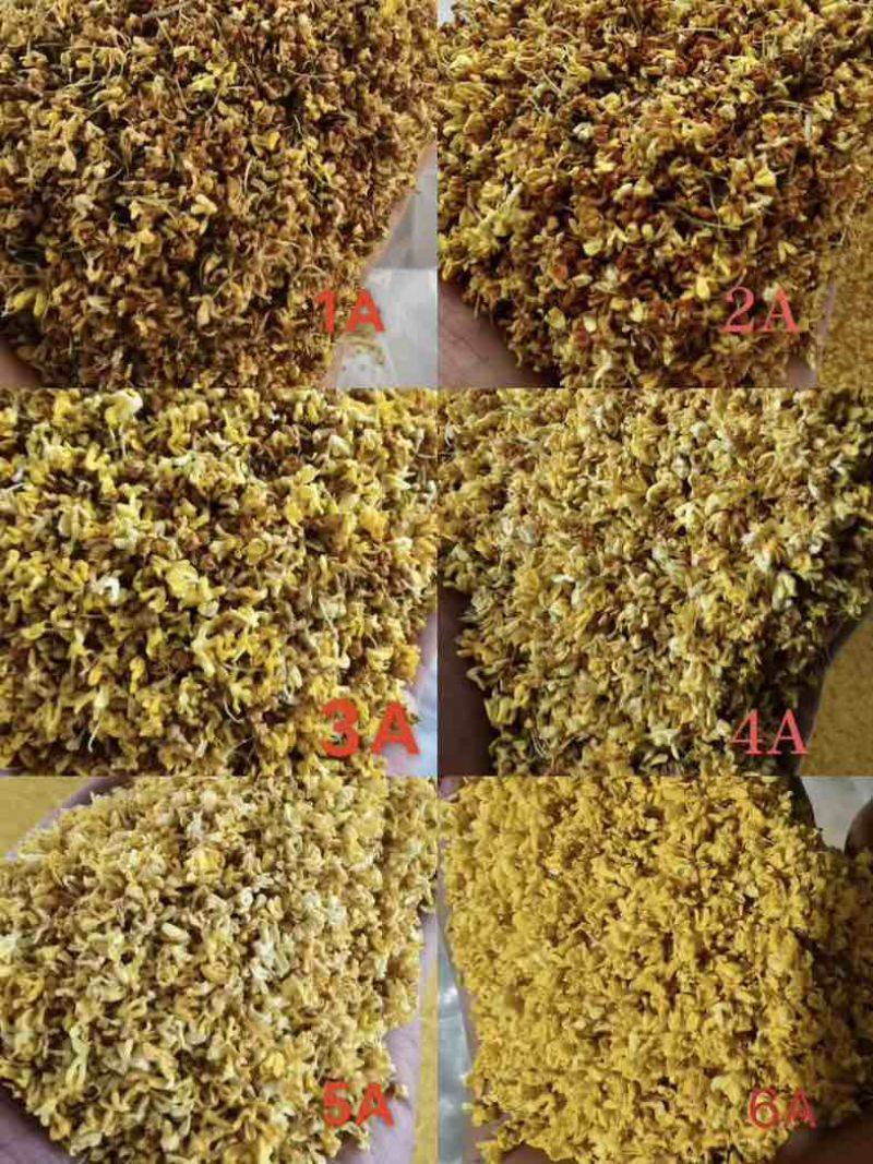 桂林精品桂花干便宜处理