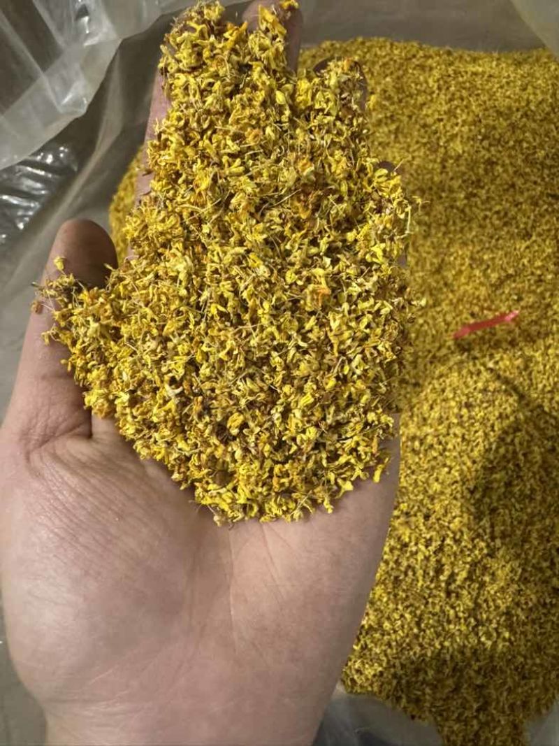 桂林精品桂花干便宜处理