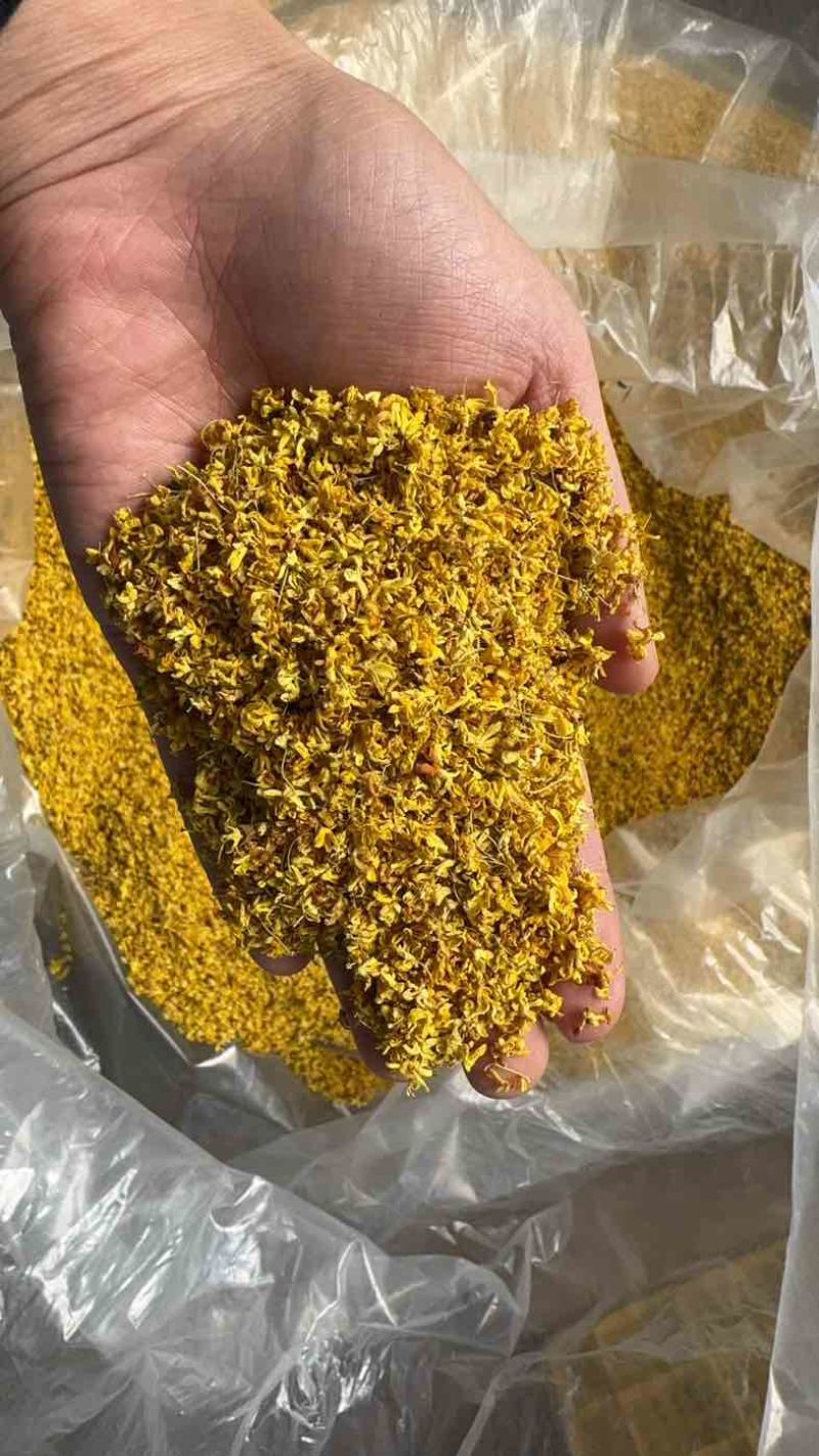 桂林精品桂花干便宜处理