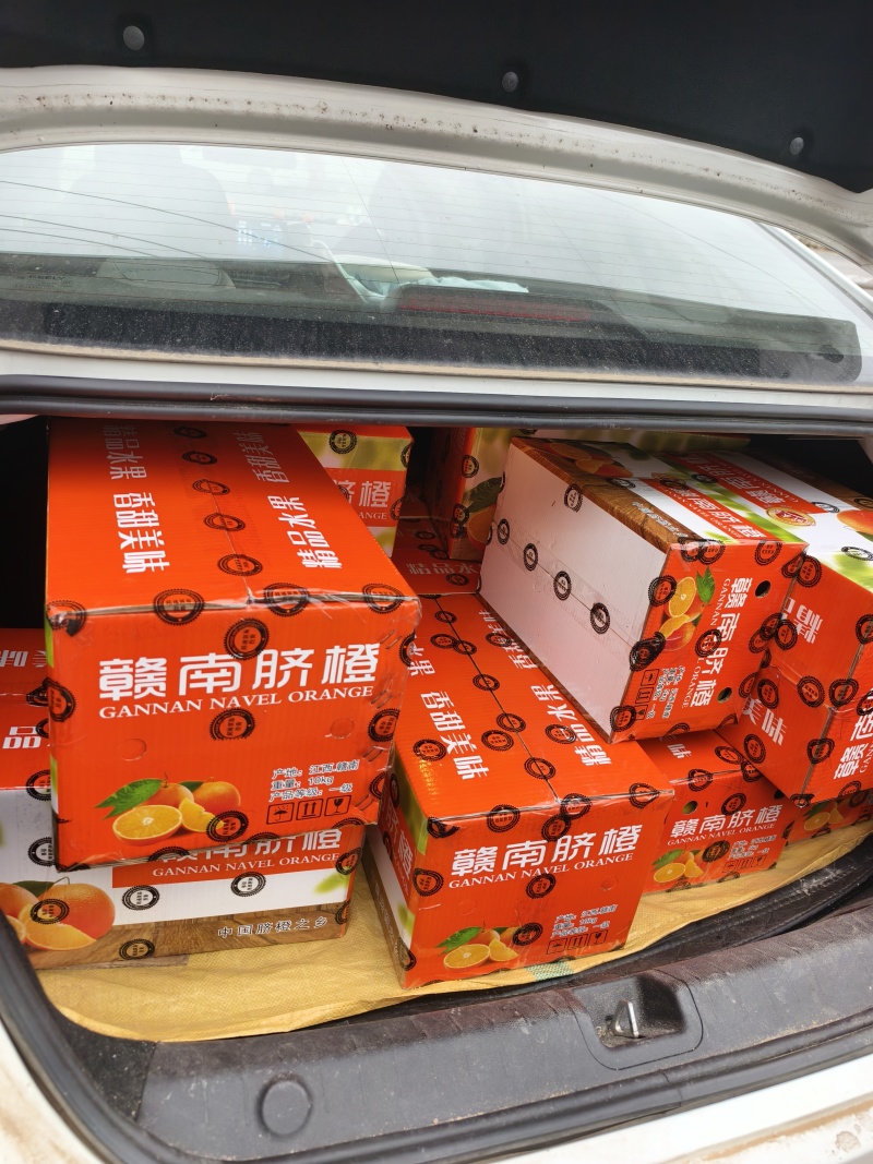 赣南脐橙