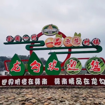 脐橙