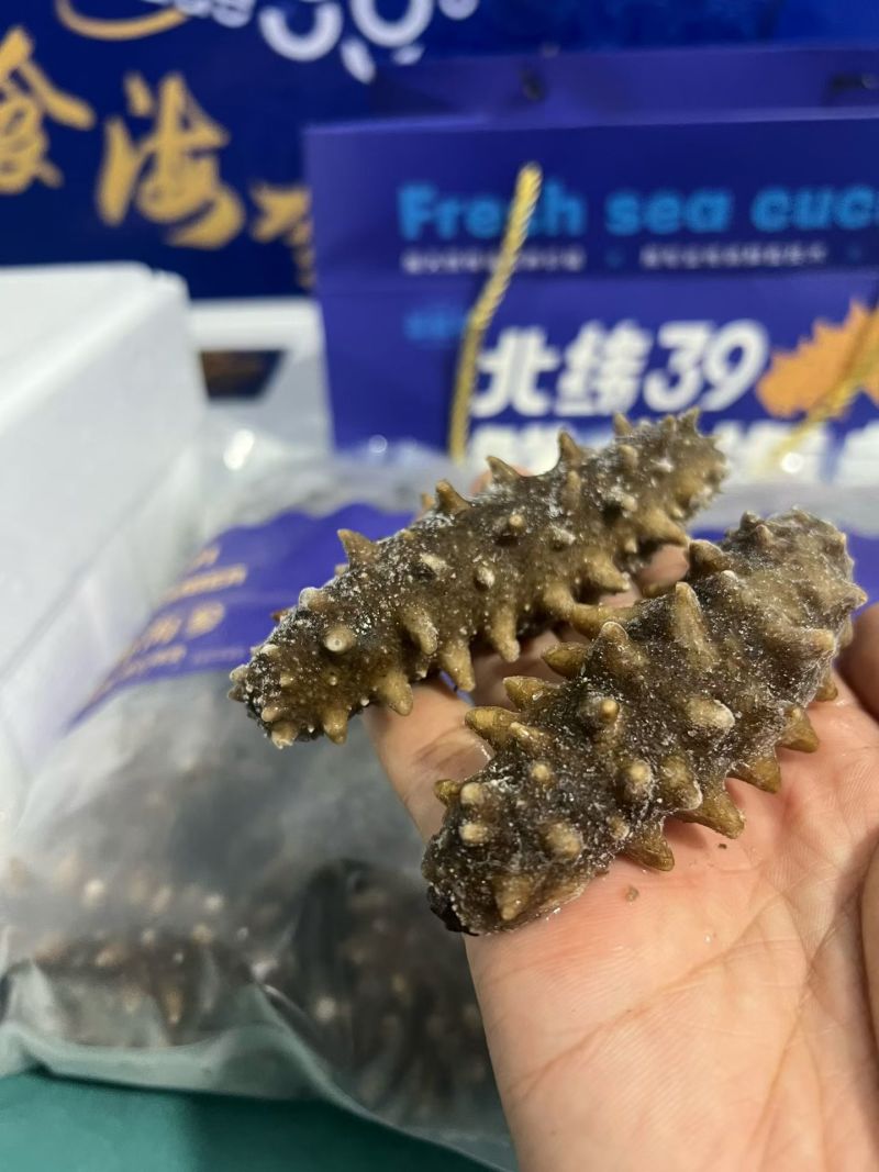 威海刘公岛大海参