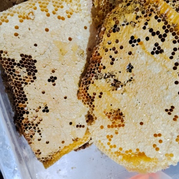 贵州大山野生土蜂蜜（注：量大可批发）