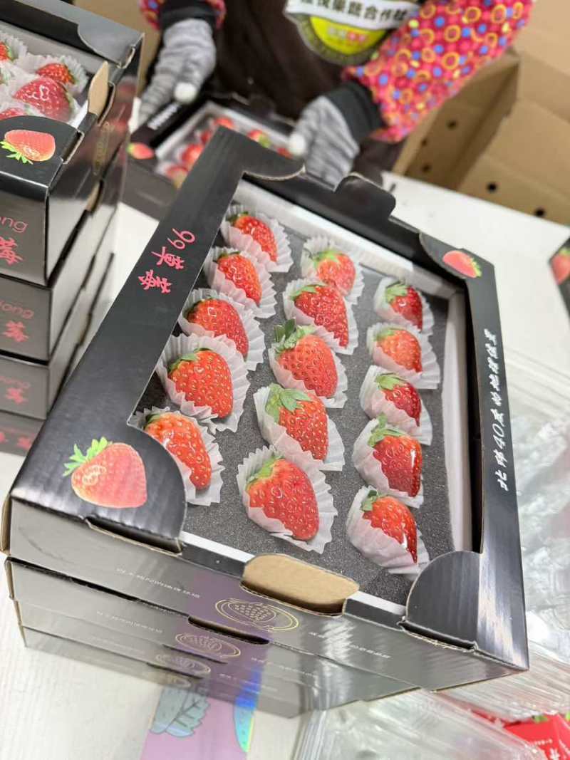 丹东九九草莓，线上线下供货