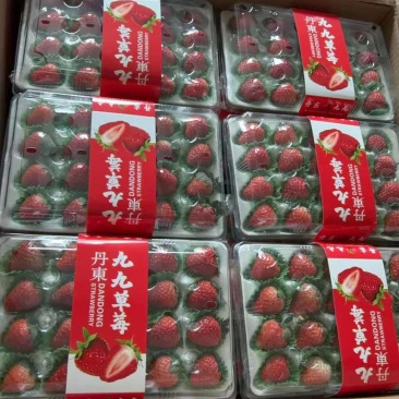 丹东九九草莓，线上线下供货