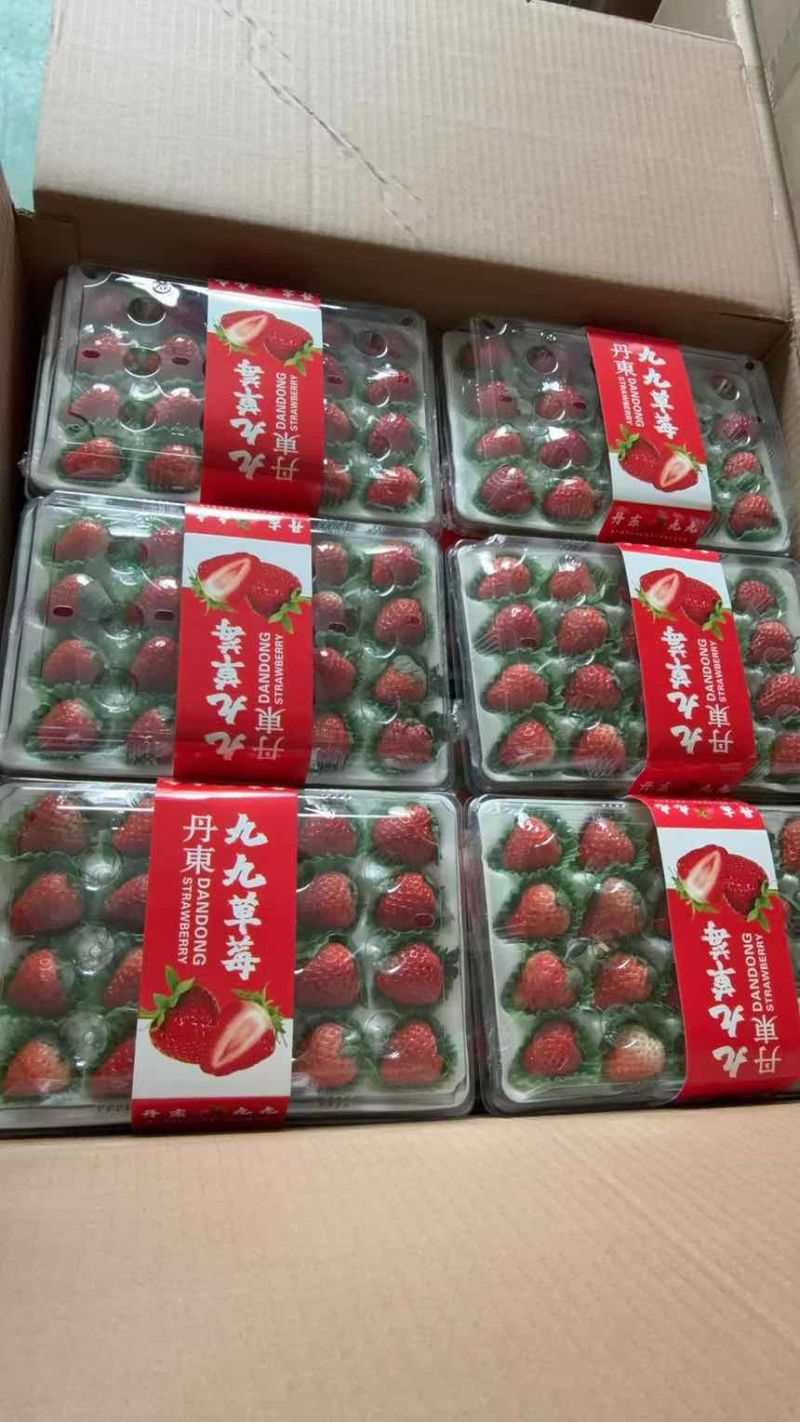 丹东九九草莓，线上线下供货