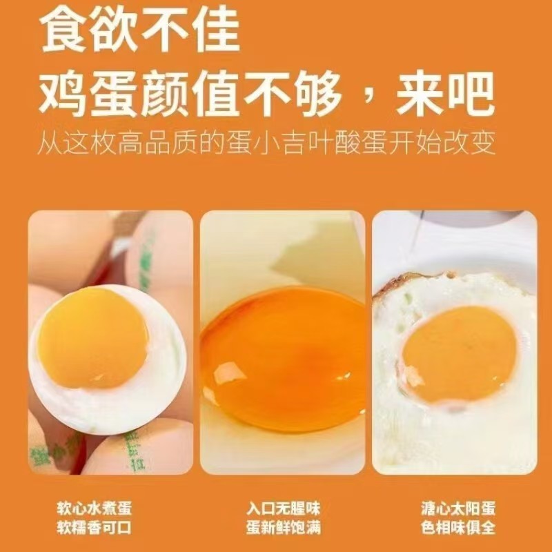蛋小吉叶酸鸡蛋