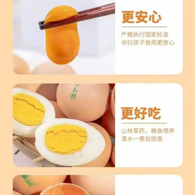 蛋小吉叶酸鸡蛋