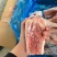 多肉s骨