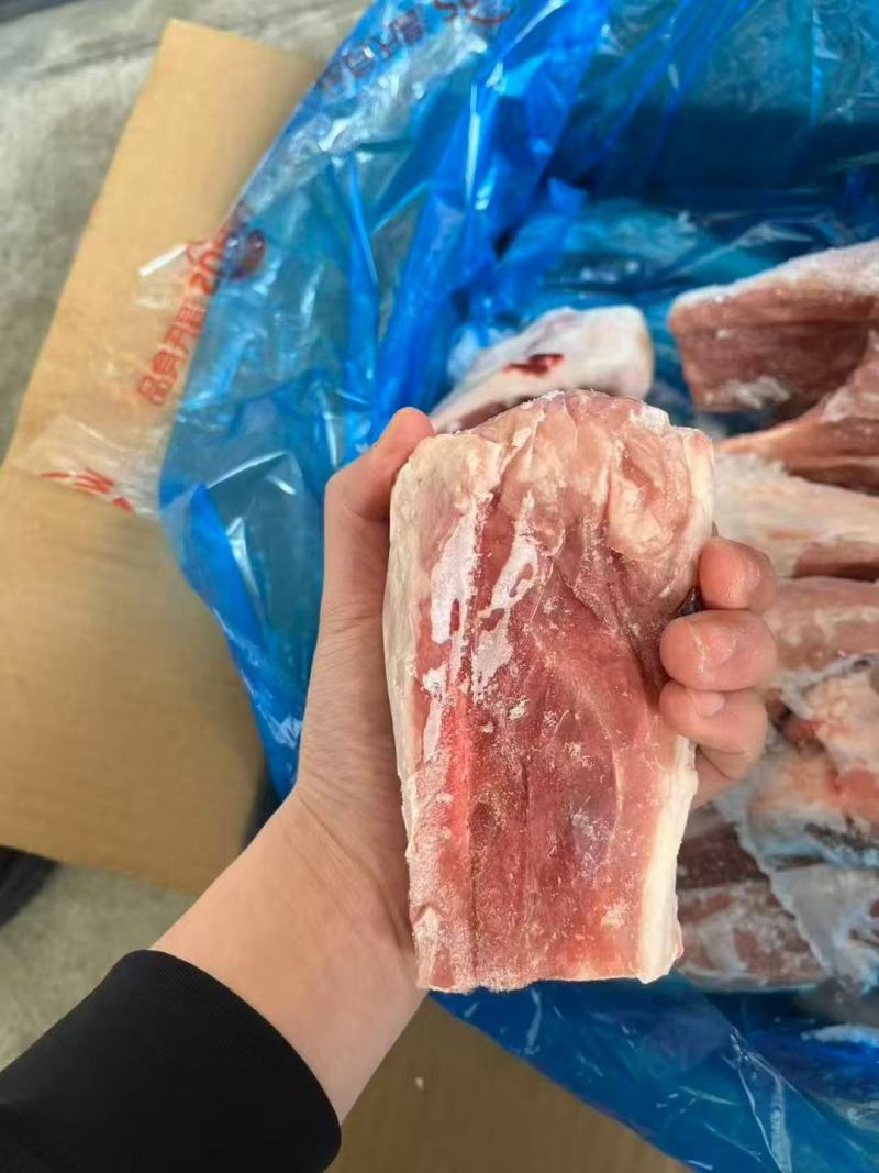 多肉s骨