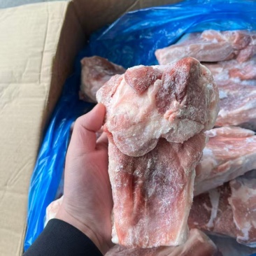 多肉s骨