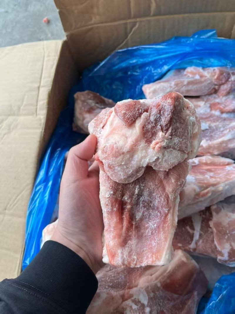 多肉s骨