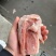 多肉s骨