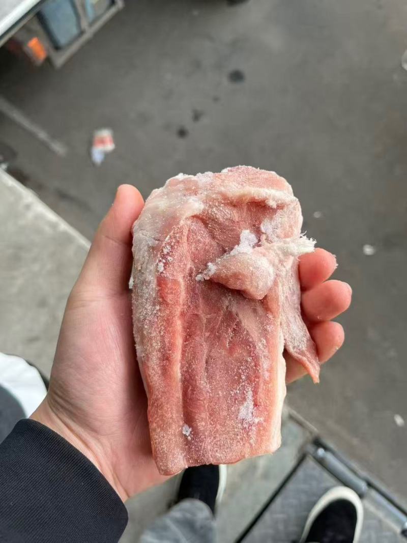 多肉s骨