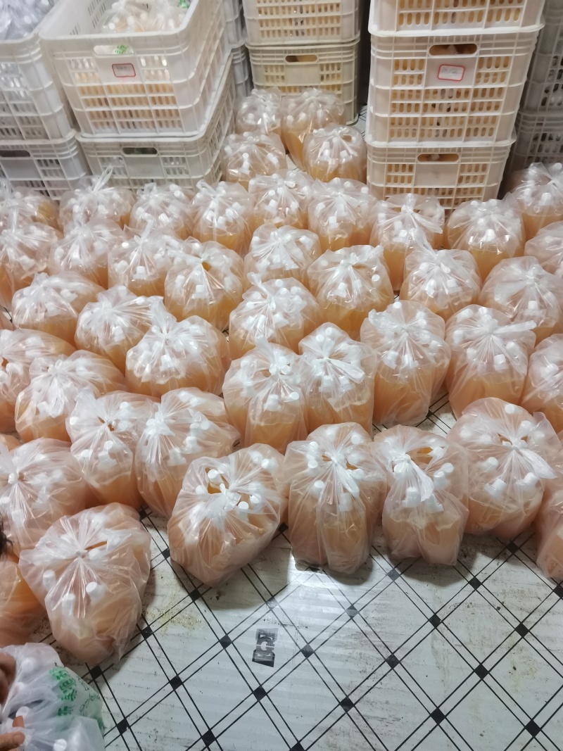 金刺梨汁