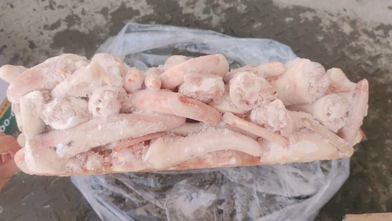 二级肥猪混尾山东厂家直销质量保证