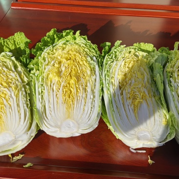 京格美兰黄心大白菜