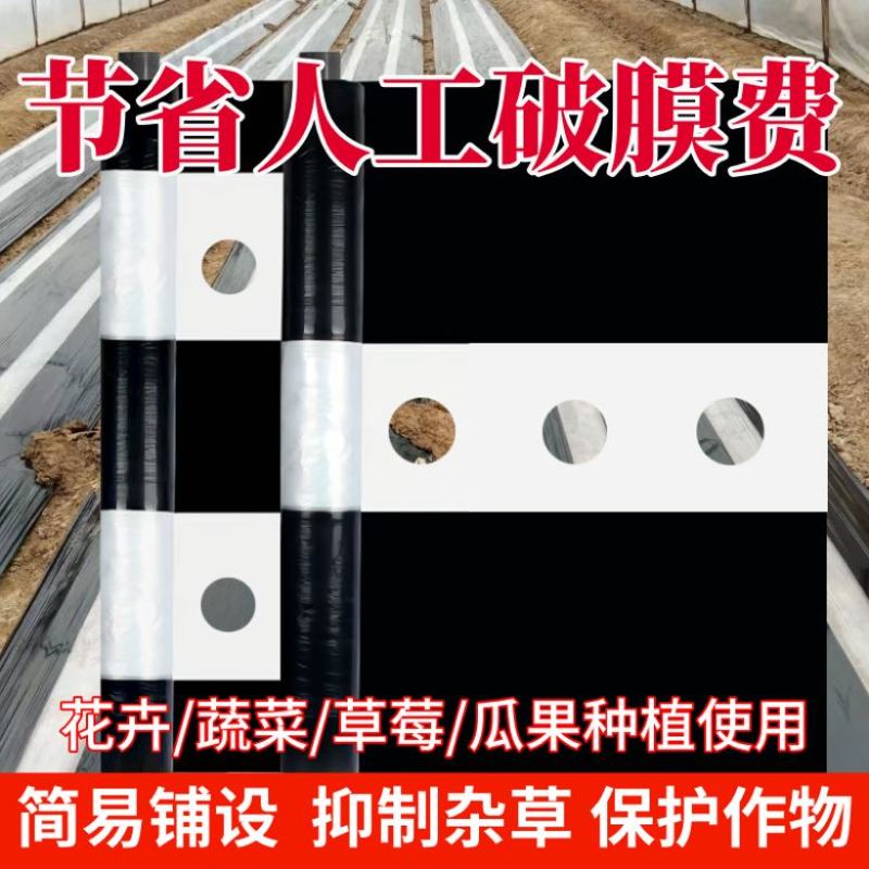地膜打孔