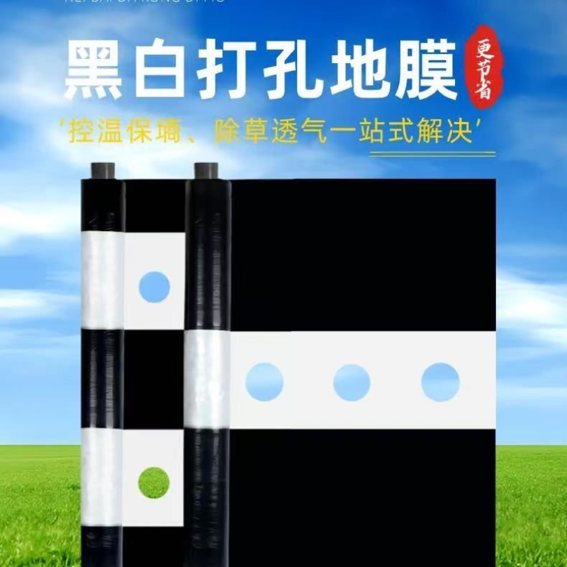 地膜打孔