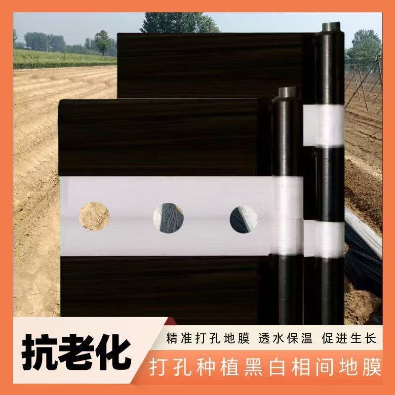 地膜打孔