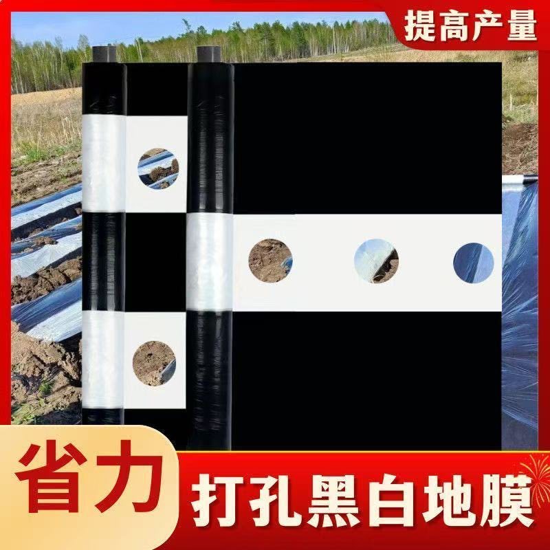 地膜打孔