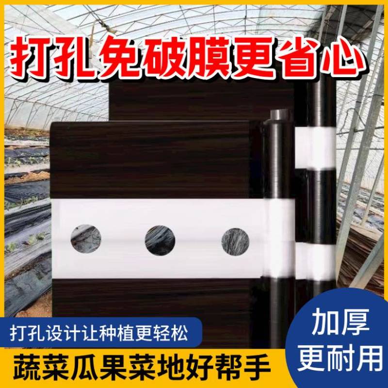 地膜打孔