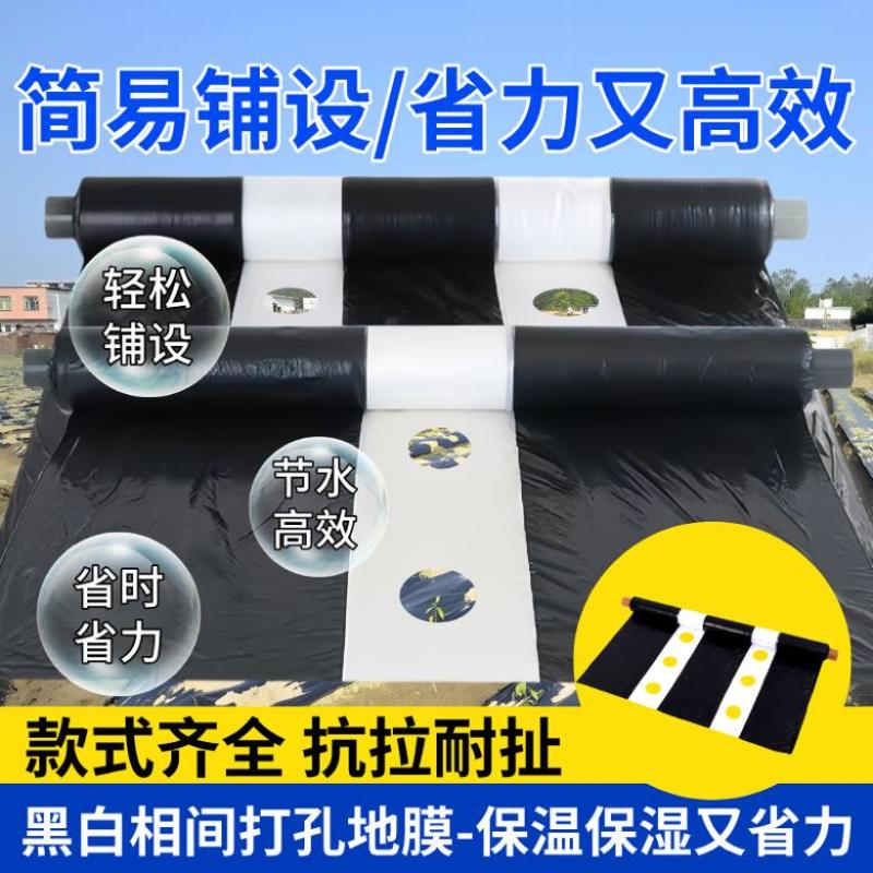地膜打孔