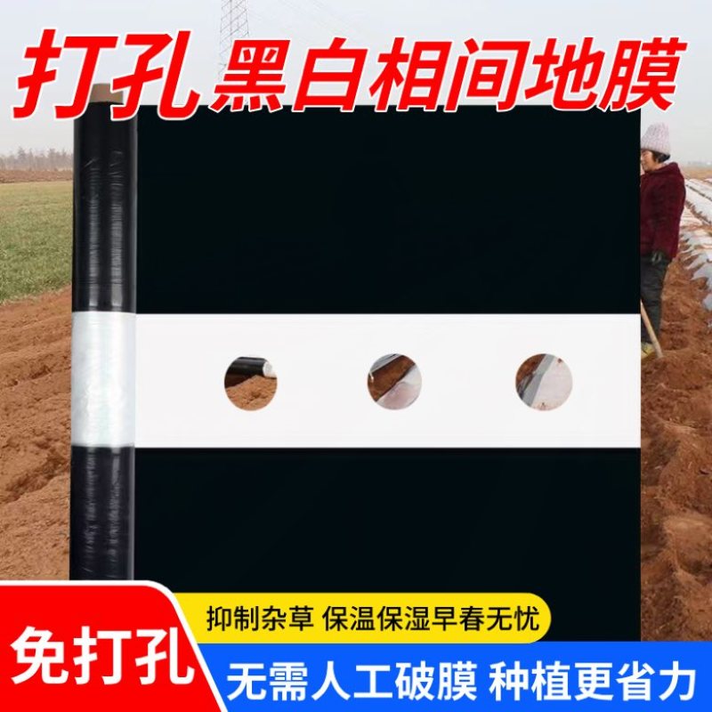地膜打孔