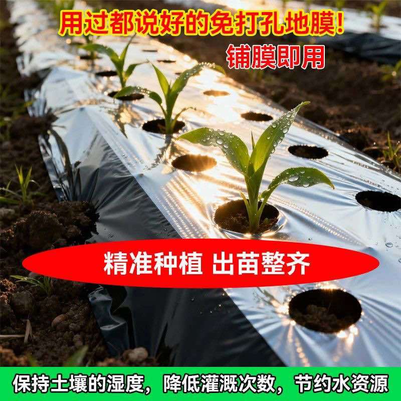 地膜打孔